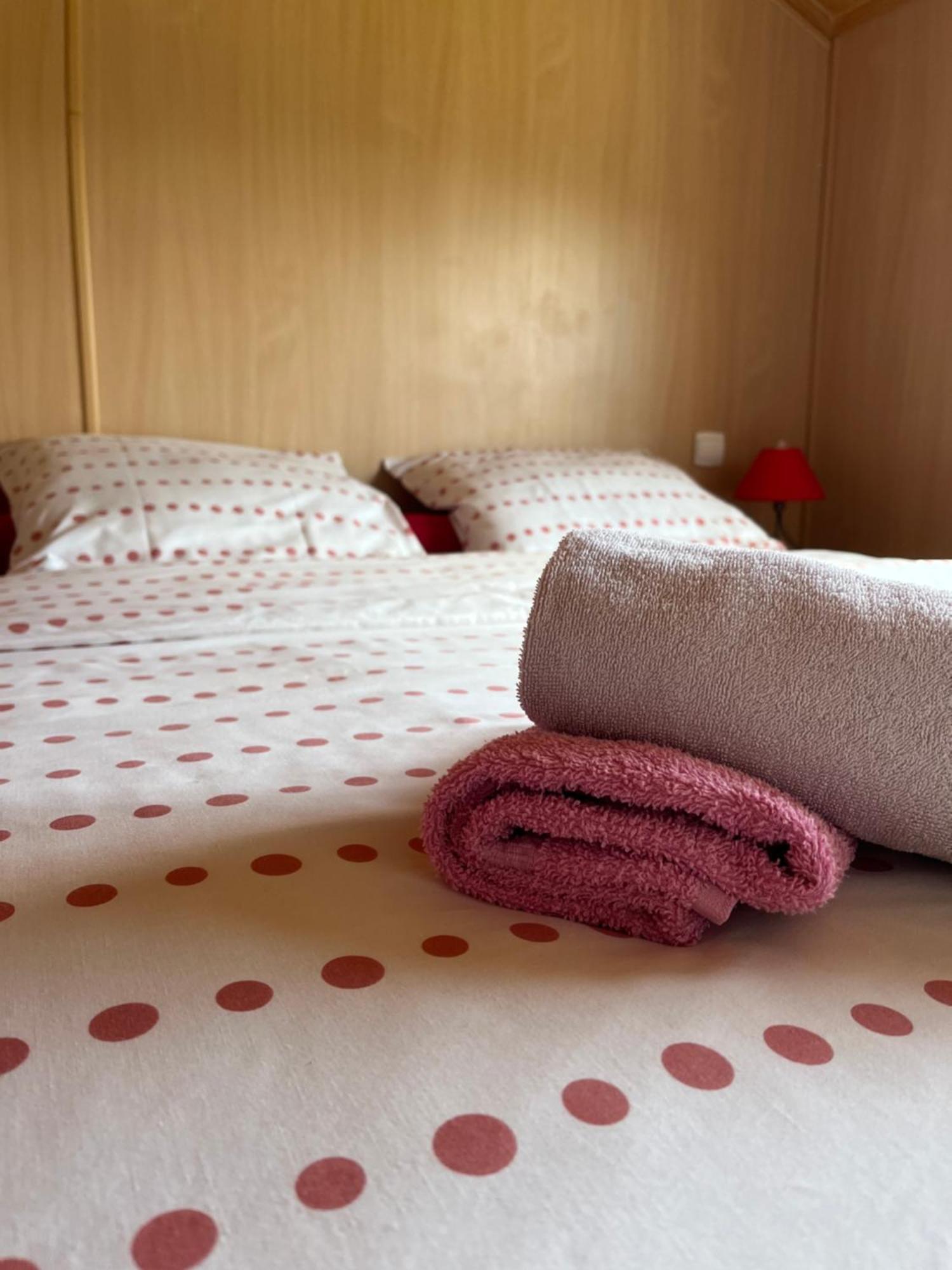 Les Chalets Du Piou Bussieres  エクステリア 写真